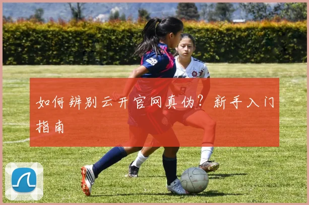 如何辨别云开官网真伪？新手入门指南