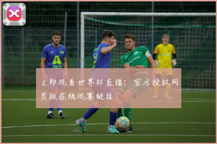 立即观看世界杯直播：官方授权网页版在线观赛链接