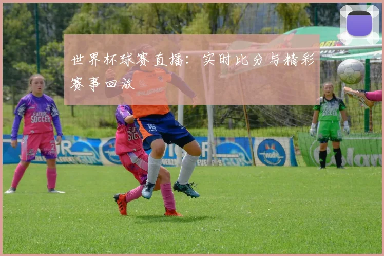 世界杯球赛直播:实时比分与精彩赛事回放